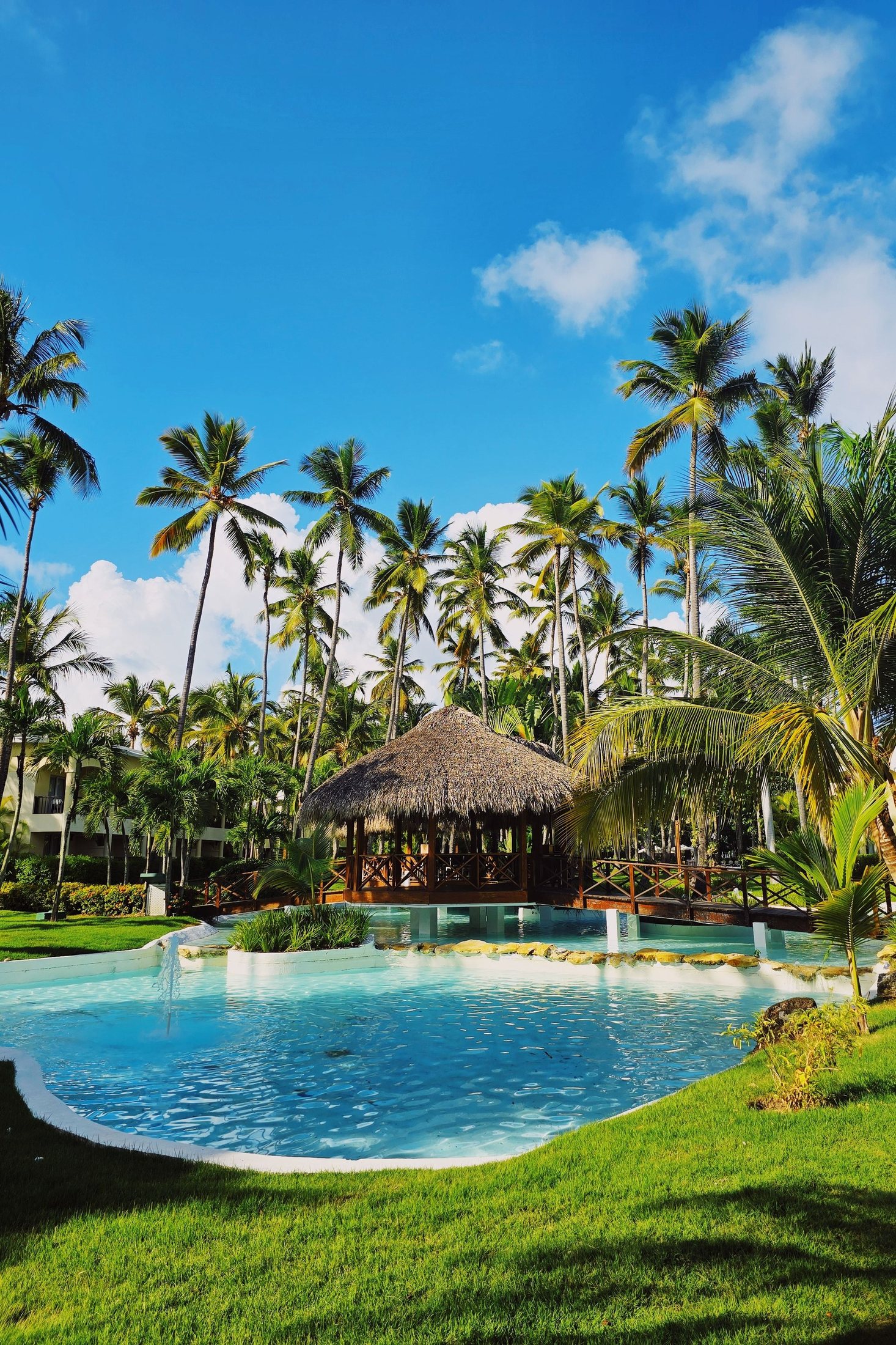 Resort pool surrounded by palm trees in Punta Cana