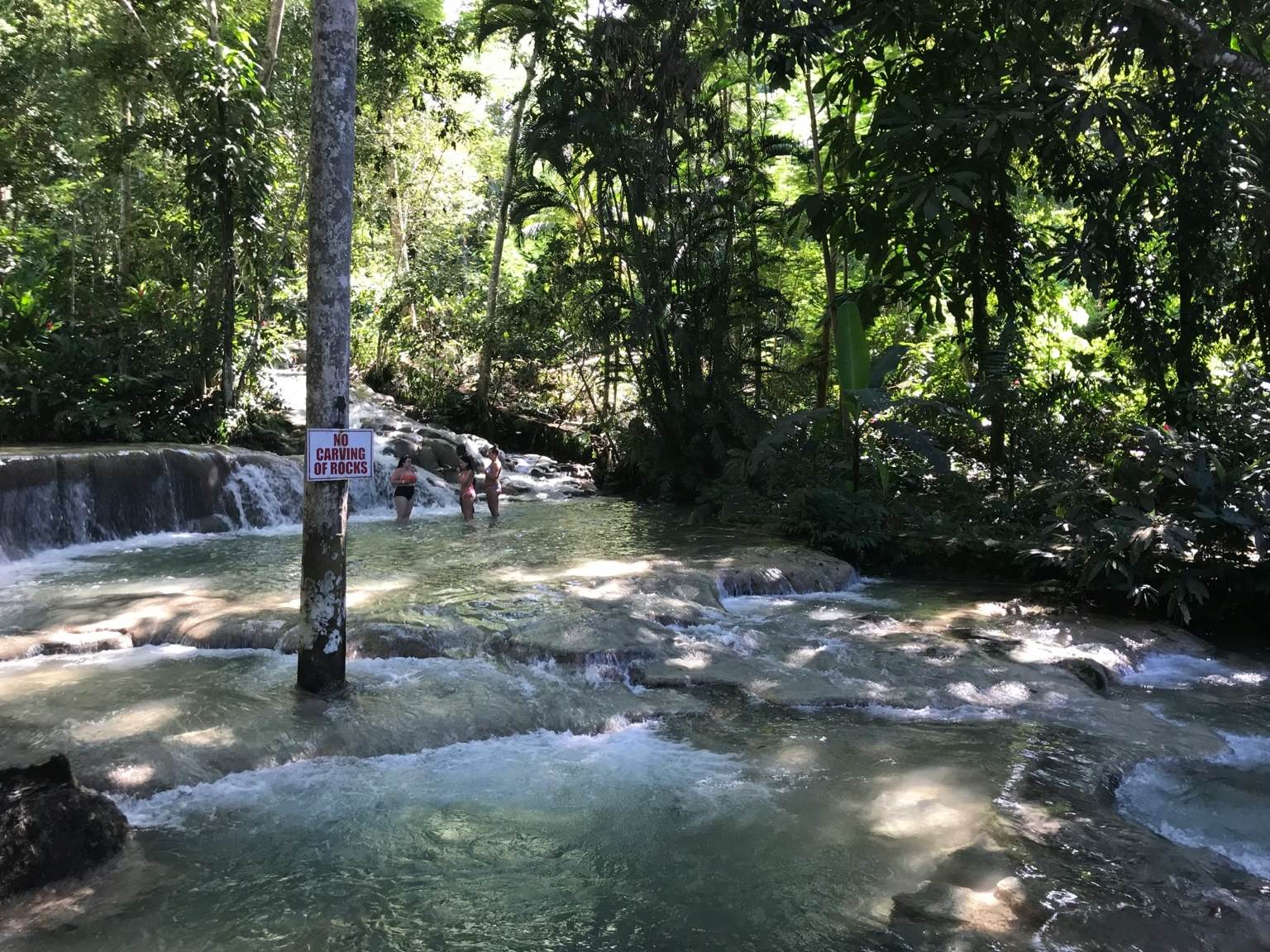 Lush tropical waterfall and forest