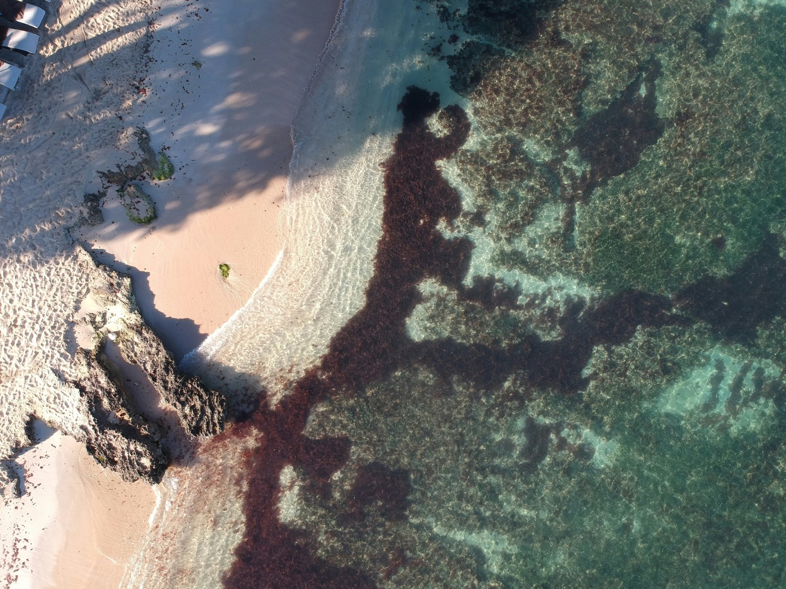 White sand beach and turquoise Caribbean sea