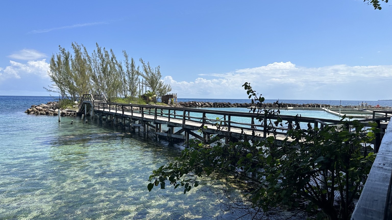 Clear Caribbean water and shoreline in Jamaica, photographed by Twilight Travel