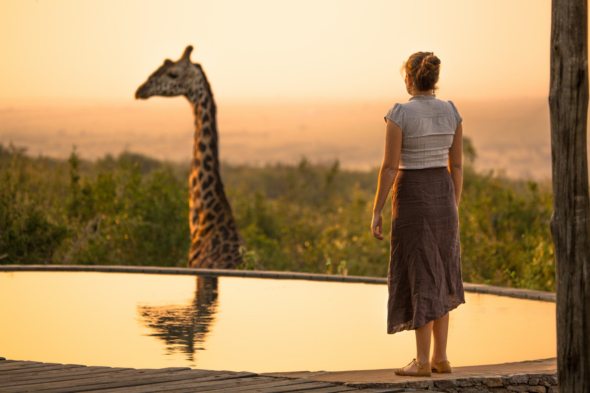 Elegant safari experience in the African bush